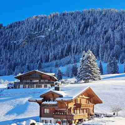 Hotel le Grand Chalet Gstaad Hotel Exterior