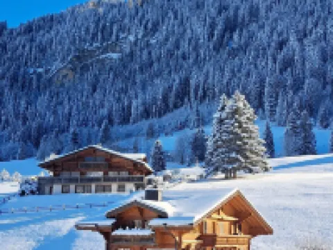Hotel le Grand Chalet Gstaad Hotels in Gstaad