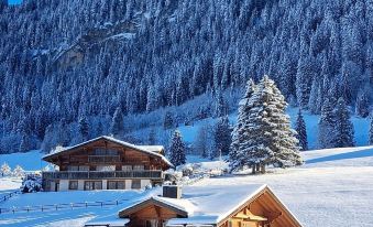 Hotel le Grand Chalet Gstaad