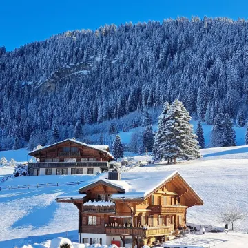 Hotel le Grand Chalet Gstaad