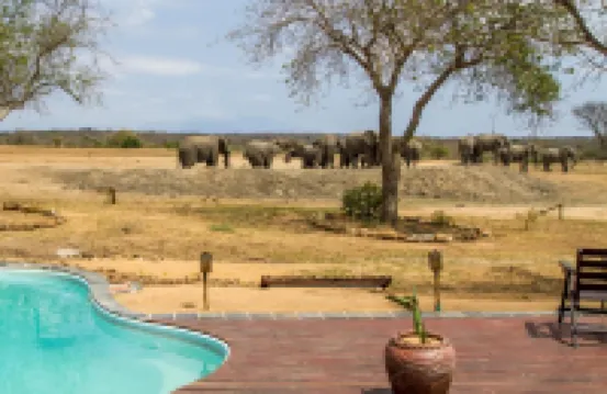 Tangala Safari Camp