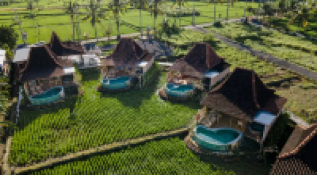 烏布 DITUJU 峇里島酒店