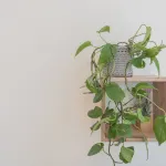Nonna Tere Apartment by Rent All Como - 무료 와이파이