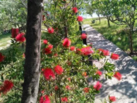 Holiday Home in Starigrad Near Paklenica โรงแรมในSeline