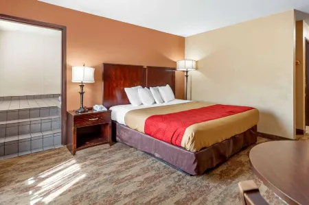 Econo Lodge Black Hills Отели в г. Саммерсет
