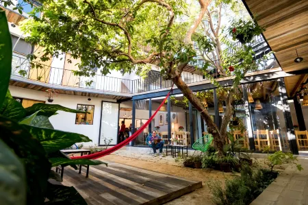 Hotel Con Corazón Отели в г. Оахака