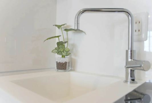 Other Dandelion Photo