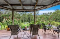 Nightcap Ridge - Byron Bay Hinterland