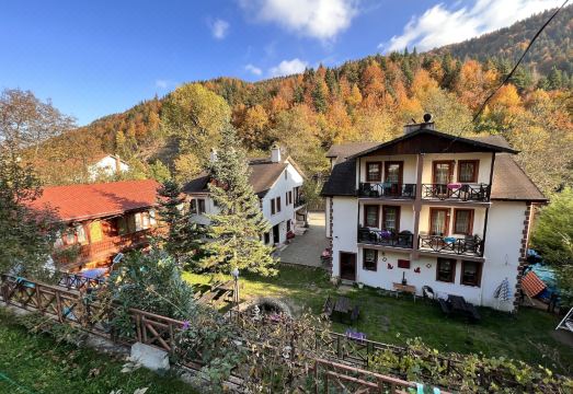 어반트 도르트 메브심 코나기