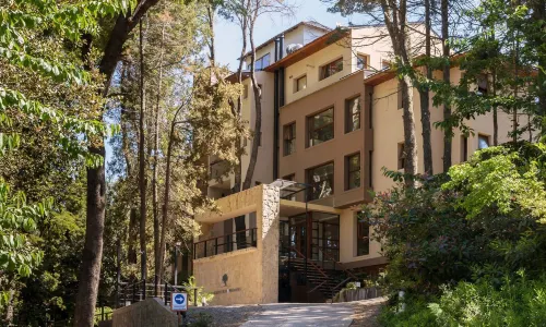 Boutique Hotel & Spa Bosque del Nahuel