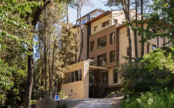 Boutique Hotel & Spa Bosque del Nahuel Hotels in 