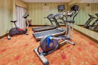 Holiday Inn Express & Suites QUAKERTOWN - ALLENTOWN AREA by IHG - Gym
