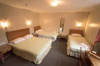 Pinegrove Hotel Hotels near Dalston