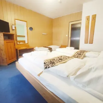 City Hotel Pforzheim