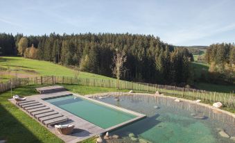 Hotel Munde