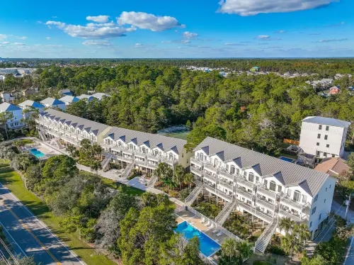 Bluebonnet by the Beach