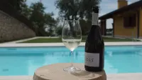 Agriturismo Acinatico Wine Relais - Pools