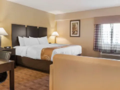 クオリティ イン & スイーツ ピッツバーグ ハーマービル ハーマー・タウンシップのホテル