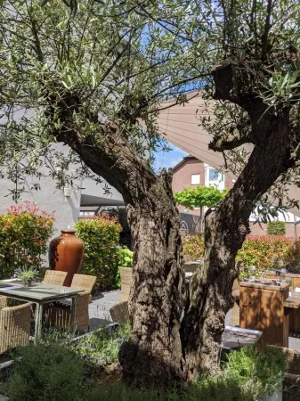 Hotel Schmachtendorf Отели рядом с достопримечательностью «König Pilsener Arena»