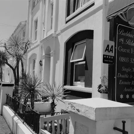 Babbacombe Palms