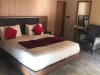 Hotel Village Inn Naran Hotels in Naran