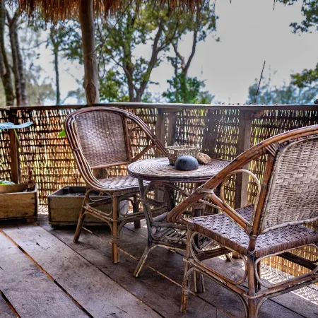 Kactus-Your Island Sanctuary on Koh Ta Kiev