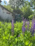 Streeter Mountain Farm Hotels in Lyme