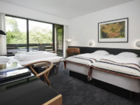 ムンケビエルグ ホテル ヴァイレのホテル