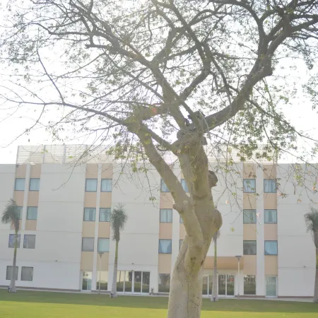 Novotel Cairo Airport