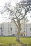 Novotel Cairo Airport Hotels near شباب اهالينا 2