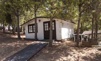 Camping ValdeArenas - Housity