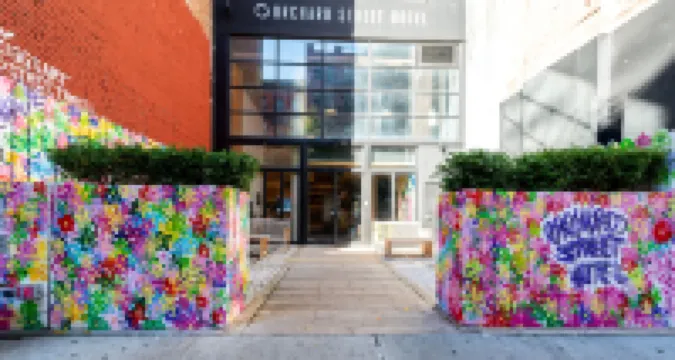 Orchard Street Hotel ウェブスター・ホール周辺のホテル