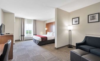 Comfort Suites University