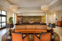 DoubleTree by Hilton Dulles Airport - Sterling - bar