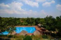 Memoria Palace & Resort - Yüzme Havuzu