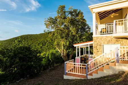 White Bay Villas and Beach Club Отели в г. Belle Vue