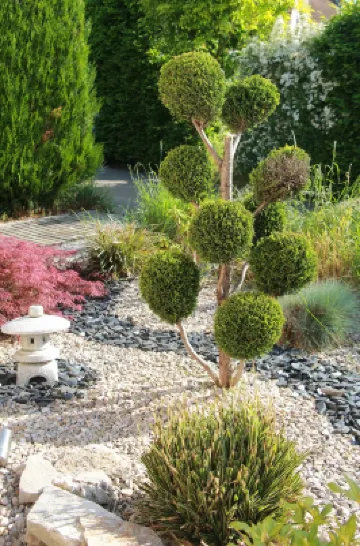 La Villanelle Chambres d'Hotes et Institut Bien Etre