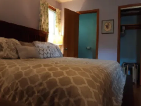 滿是鋼球和遊戲之家飯店