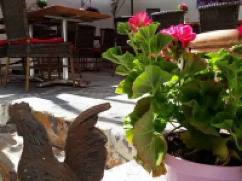 Hotel Restaurant le Goût des Hôtes Hotels in Frontignan