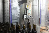 Vinifera Vineyards Hotel - Barer
