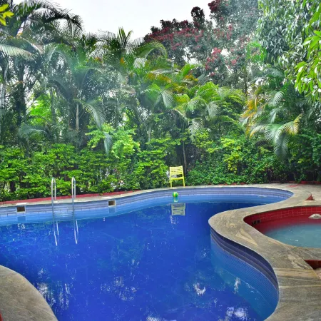 Dolphin Resort