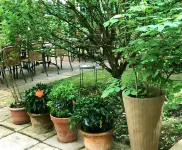 Hotel-Restaurant Bruchwiese Hotels in der Nähe von Perplex St. Ingbert