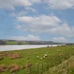 Host & Stay - Himmell Hotels in Healey