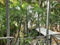 Hotel la Palapa - Sea View