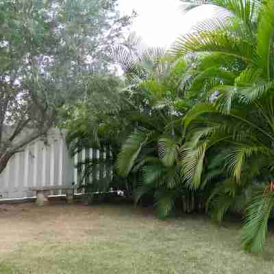 1-Bed Smart Access Condo Near Bob Marley Museum Hotel Exterior