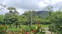 Cabinas El Pilon Rio Celeste Hotels in Guatuso