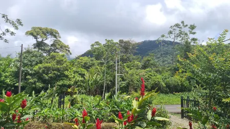 Cabinas El Pilon Rio Celeste Отели в г. Рио Наранхо