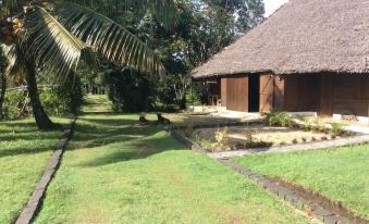 Beachfront Oasis in Mahambo, Madagascar - Chalet Retreat