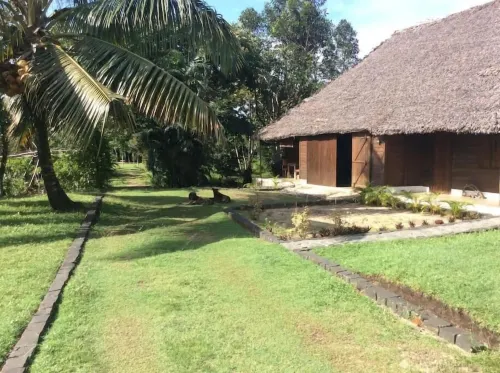 Beachfront Oasis in Mahambo, Madagascar - Chalet Retreat - 2-Star
