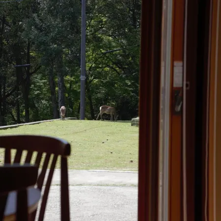 Mountain Home Lodge in Deer Park Отели рядом с достопримечательностью «Касуга-тайся»